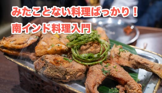 南インド・マンガロール料理旨すぎる！有楽町「バンゲラズキッチン」
