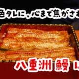 東京駅すぐの路地裏で、鰻をつまみに飲むしあわせ｜八重洲 鰻 はし本