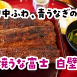 名古屋来たのにひつまぶし食べない？いや“うな重”でしょｗ